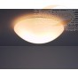 Tak- og Vegglampe, Opalglass,1xE27/60W, d=32cm