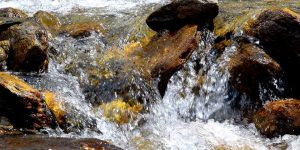 Wasserbelebung