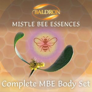 MBE Body – individual Essences