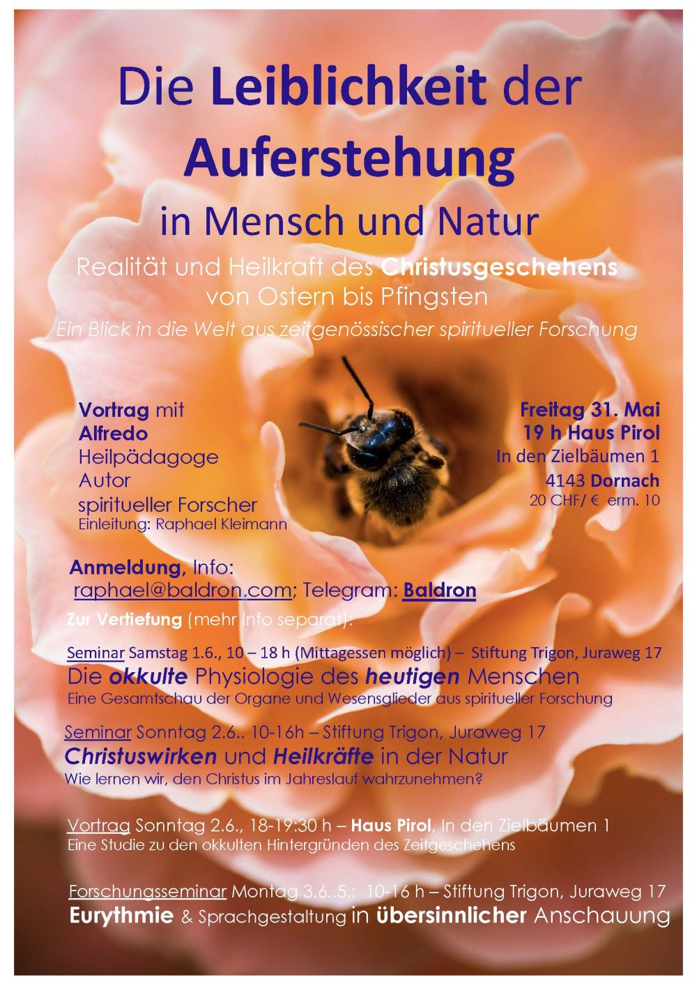 Die Leiblichkeit der Auferstehung in Mensch und Natur - 31.05.24