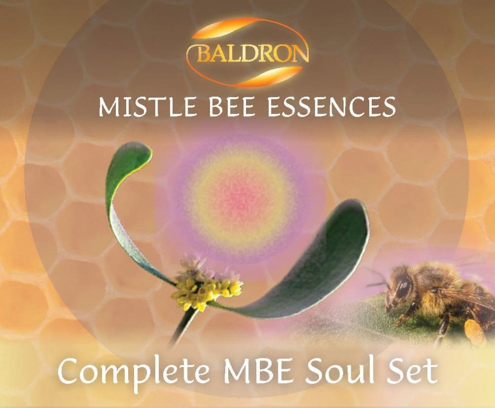 MBE - Soul - individuelle essenser