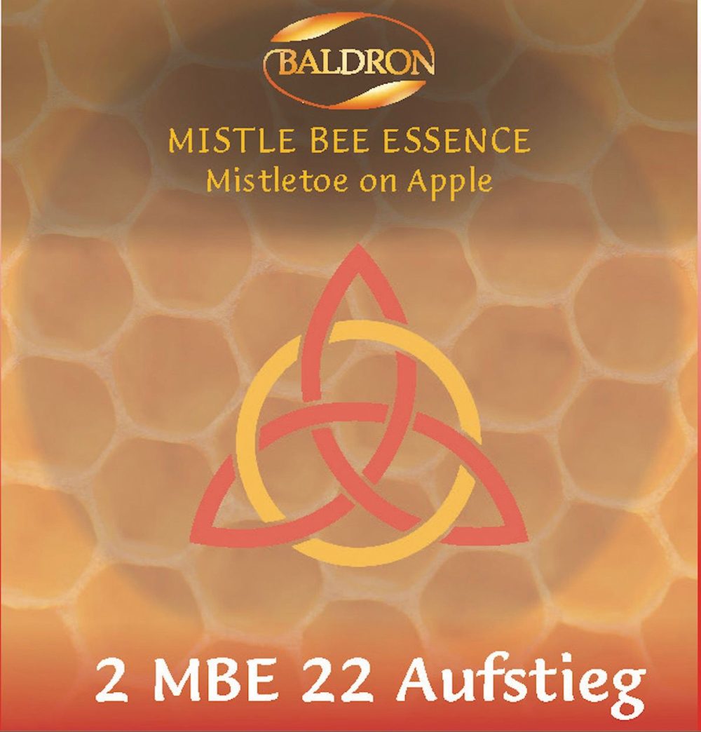 Aufstieg - MistelBienenEssenz MBE